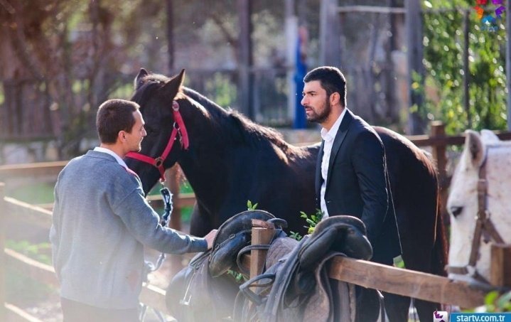 Кадр 3 з Крила кохання 2 сезон