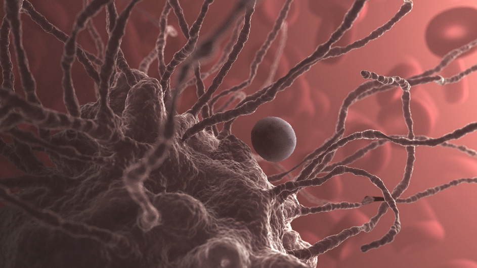 Кадр 2 з Мандрівка у себе