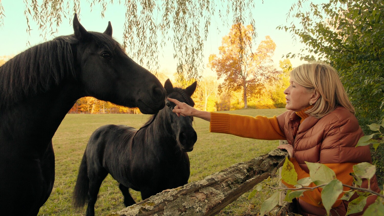 Кадр 1 з Марта
