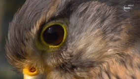 Кадр 2 з Межі світла