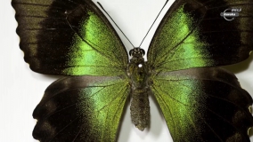 Кадр 3 з Межі світла