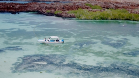 Кадр 1 з Місія Галапагоси 1 сезон