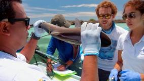 Кадр 4 з Місія Галапагоси 1 сезон