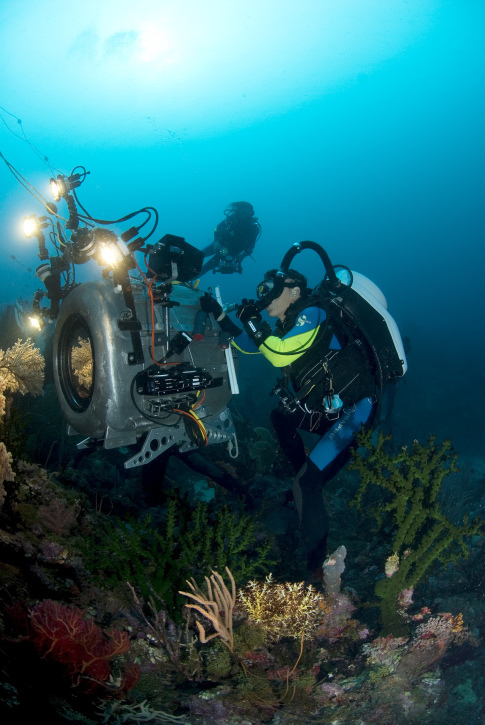 Кадр 2 з Морські глибини