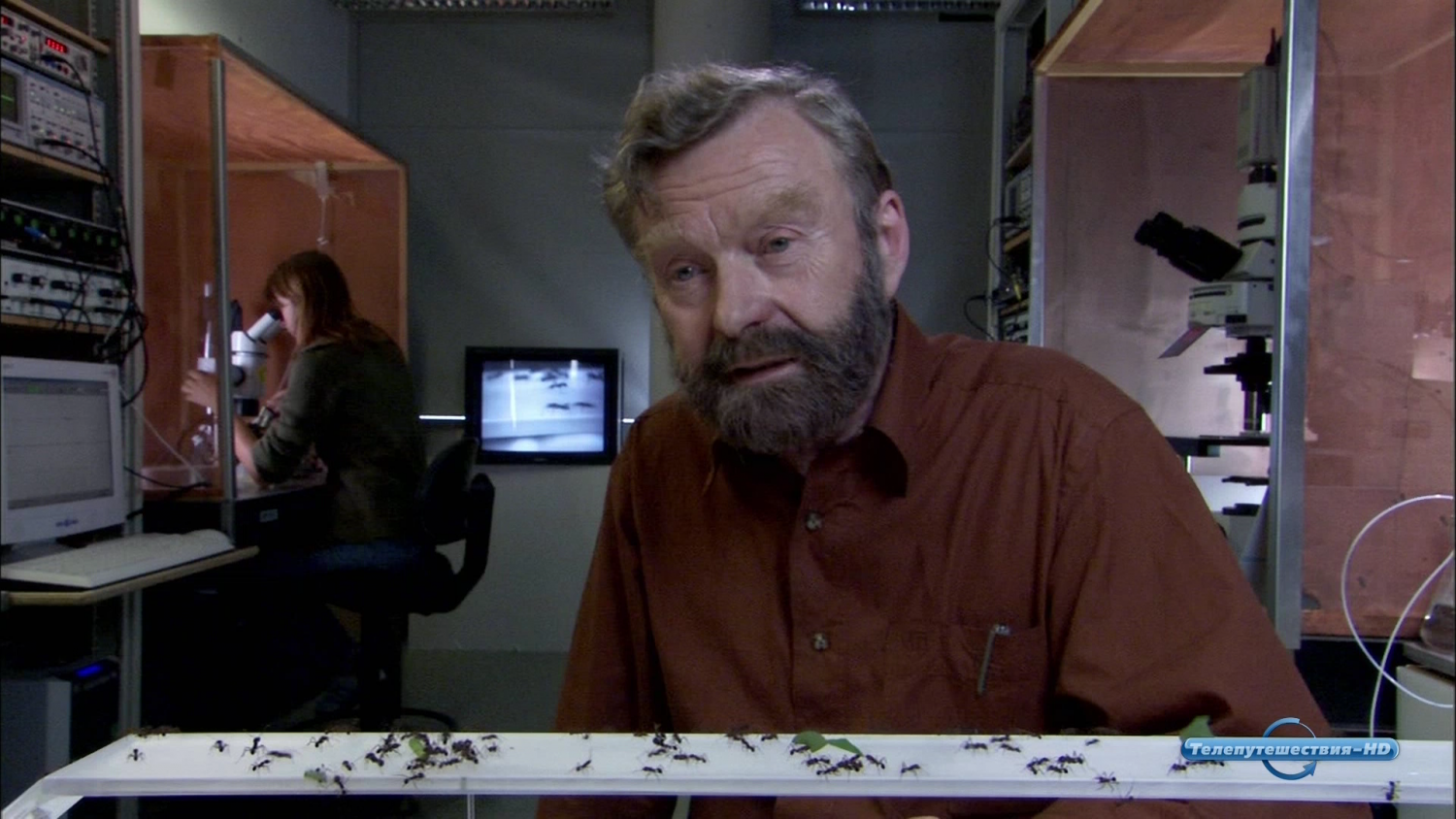 Кадр 2 з Мурахи - секретна зброя