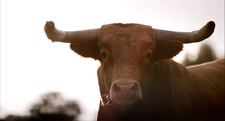 Кадр 4 з Музей Прадо. Скарбниця шедеврів