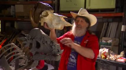 Кадр 2 з Найдивовижніші у світі динозаври / Чудо-Юдо Динозаври