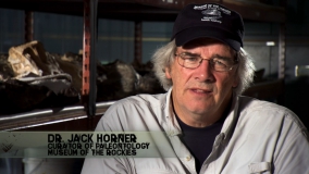 Кадр 3 з Найдивовижніші у світі динозаври / Чудо-Юдо Динозаври