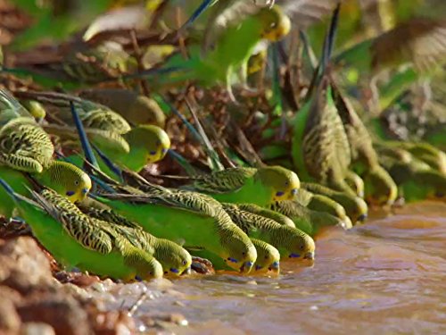 Кадр 2 з Народжені мусонами 1 сезон