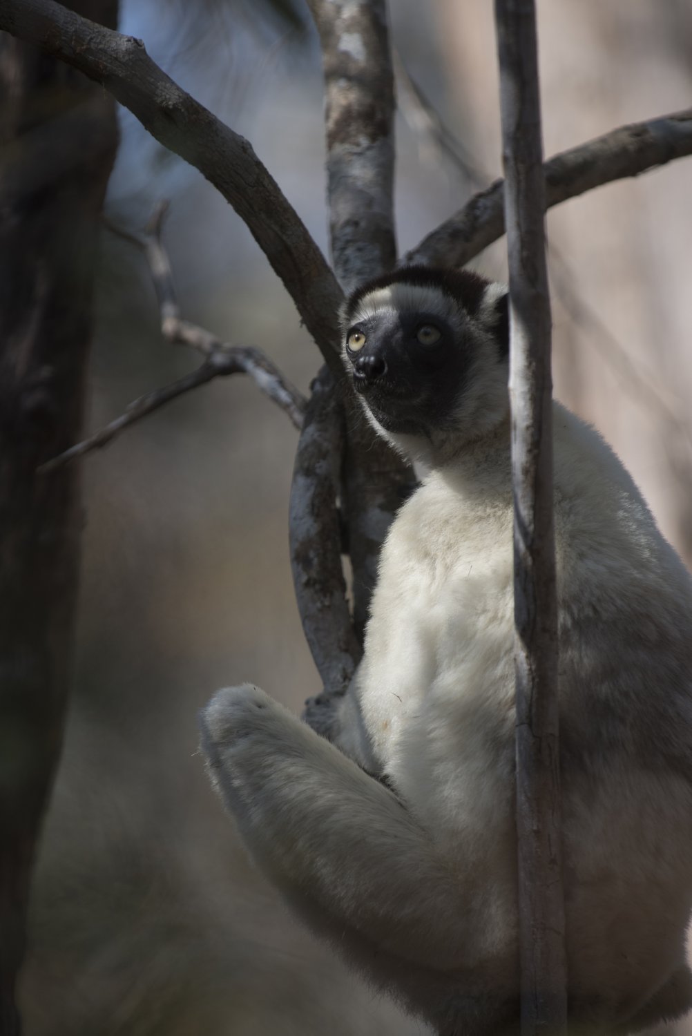 Кадр 2 з Наша планета 2 сезон