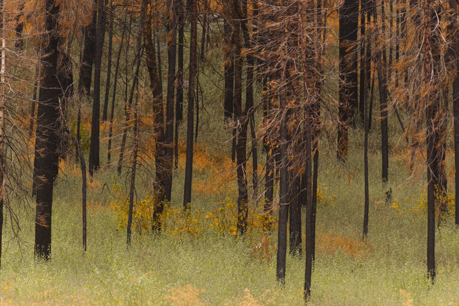 Кадр 3 з Наша планета 2 сезон