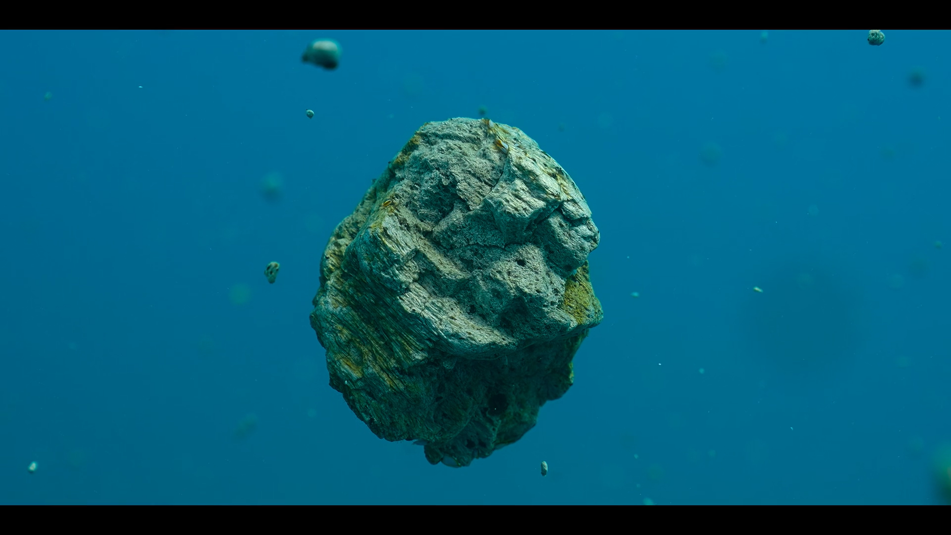 Кадр 4 з Наші океани 1 сезон