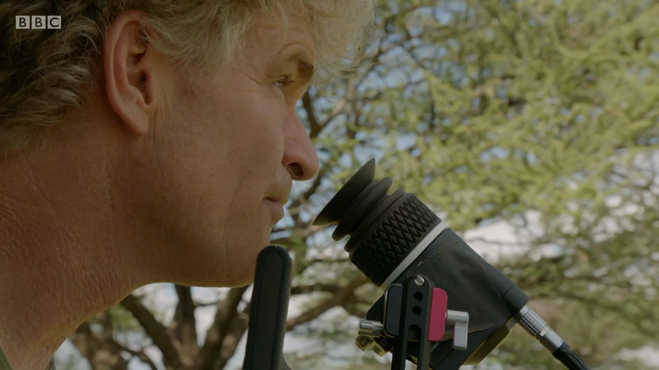 Кадр 3 з Найбільші в світі міграції / Найбільші міграції в природі 1 сезон