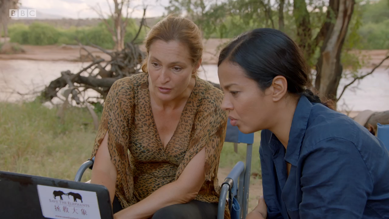 Кадр 4 з Найбільші в світі міграції / Найбільші міграції в природі 1 сезон