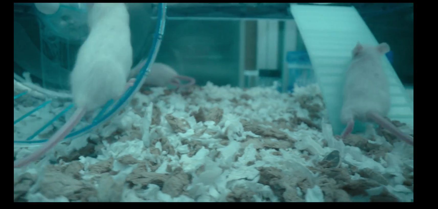 Кадр 2 з Не вмирай: Чоловік, що хоче жити вічно