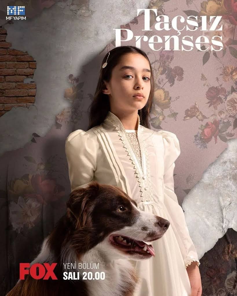 Кадр 1 з Некоронована принцеса 1 сезон