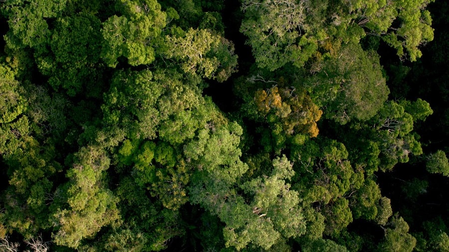 Кадр 3 з Невідома планета Земля 1 сезон