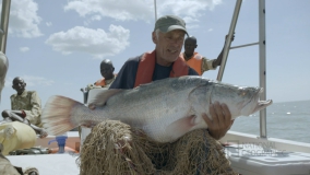 Кадр 3 з Незвідані води з Джеремі Вейдом 1 сезон