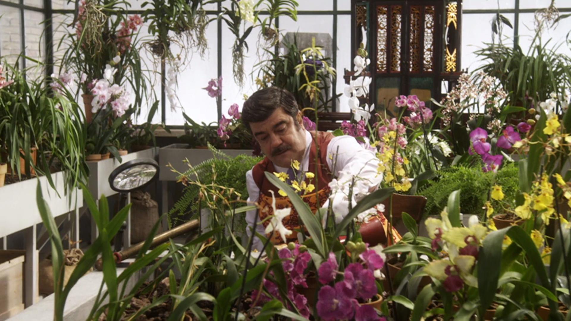 Кадр 3 з Ніро Вульф 1 сезон