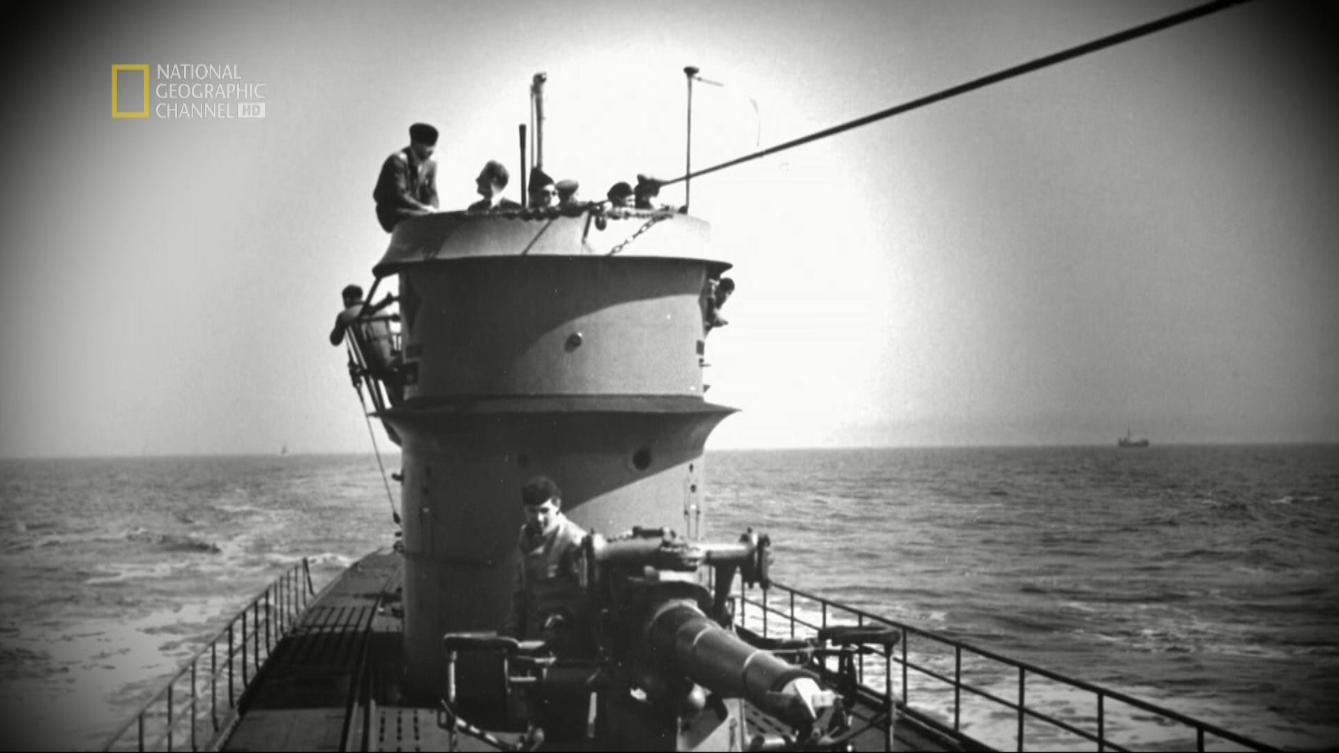 Кадр 1 з Нова зірка 42 сезон