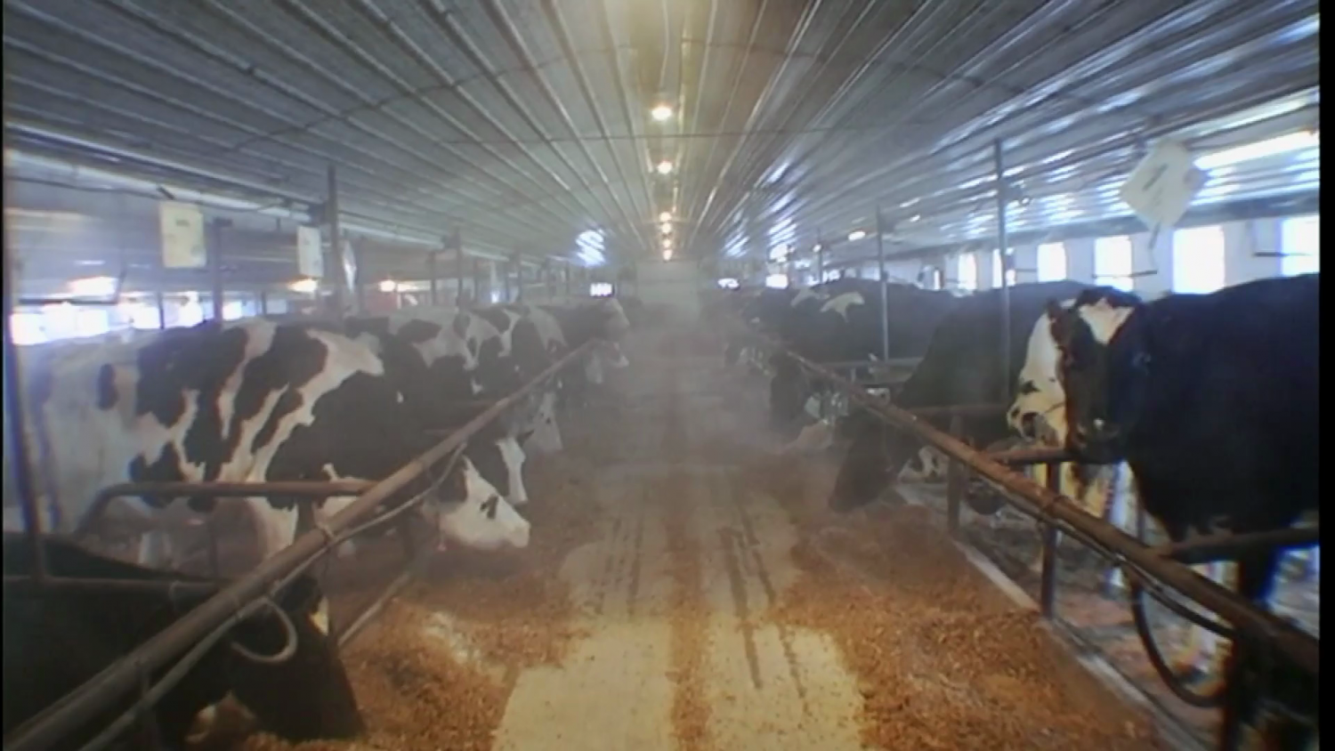 Кадр 3 з Нульовий вплив