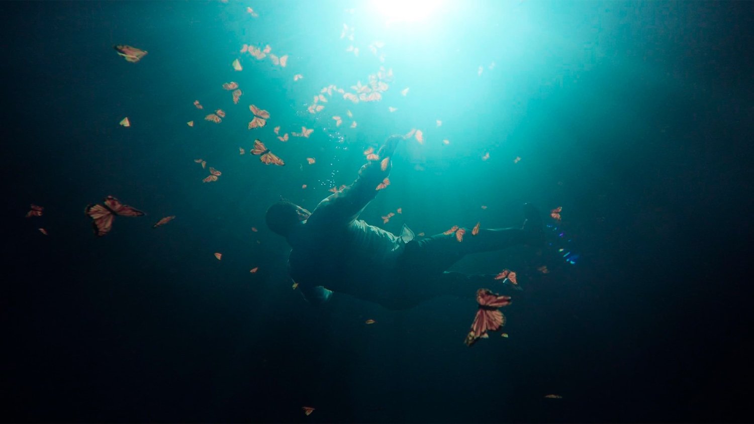 Кадр 1 з Оборонець монархів