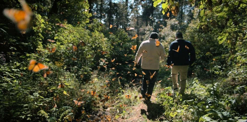 Кадр 2 з Оборонець монархів