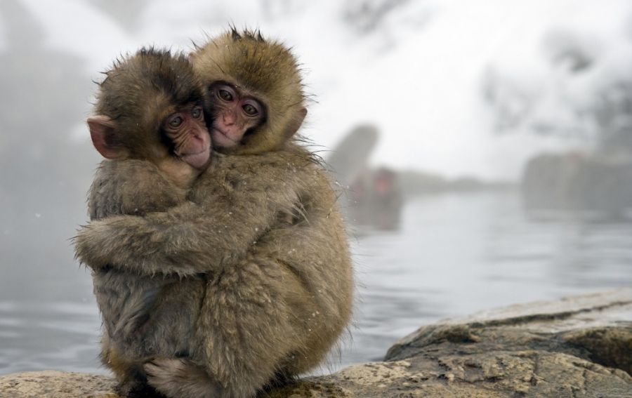 Кадр 1 з Одне життя