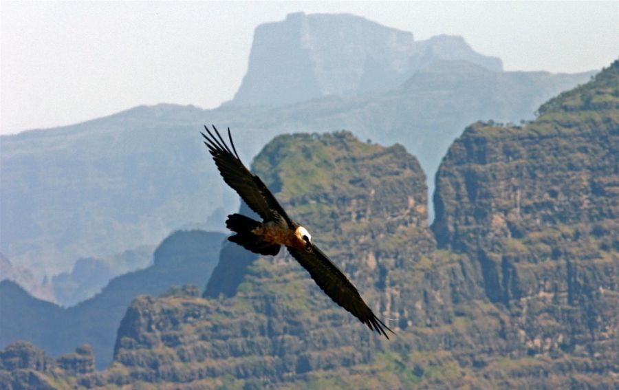 Кадр 2 з Одне життя