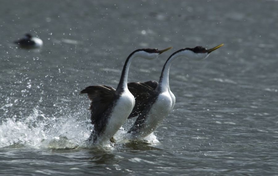 Кадр 3 з Одне життя