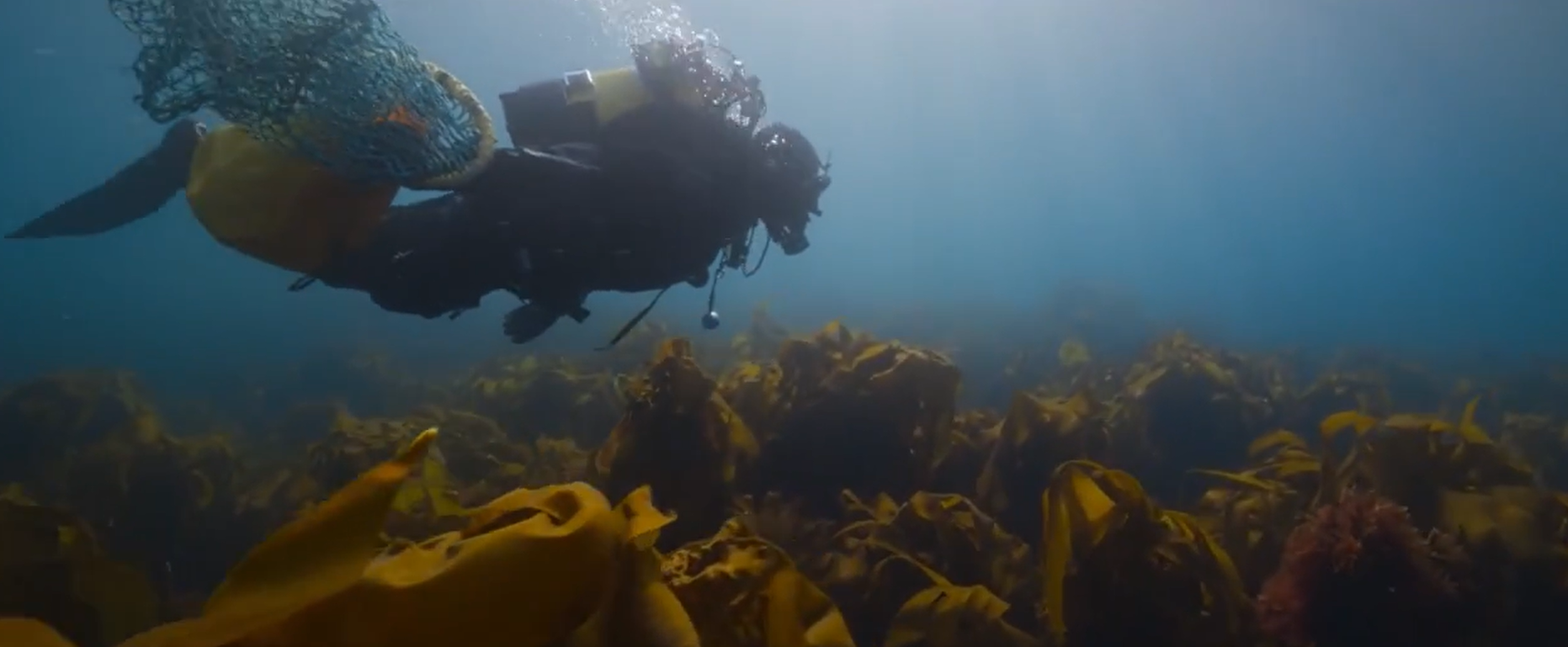 Кадр 4 з Океан з Девідом Аттенборо