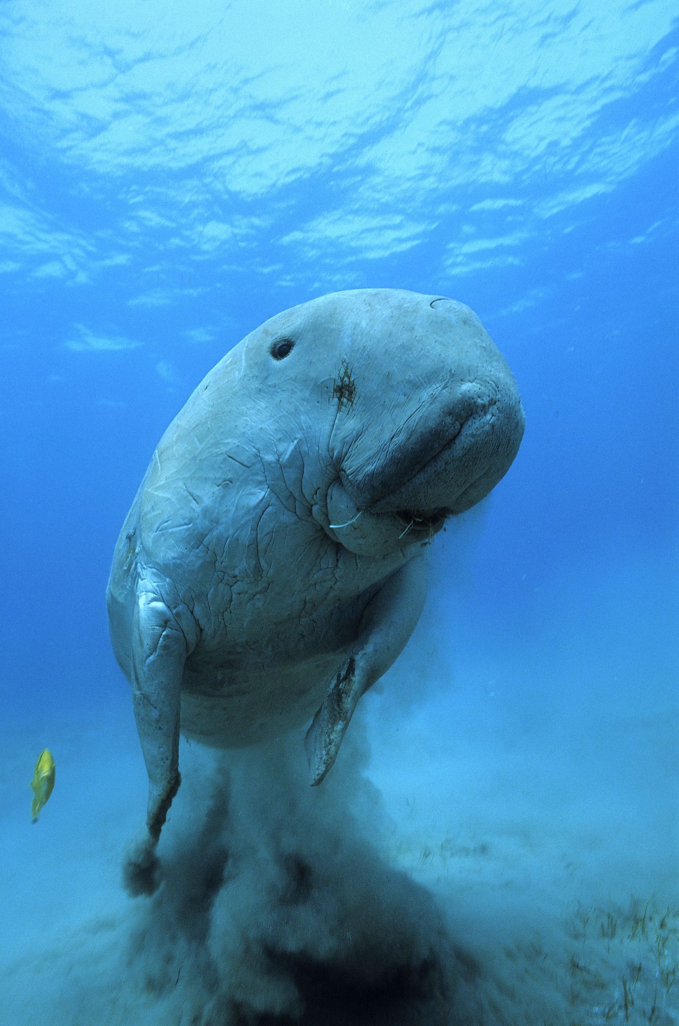 Кадр 1 з Океани