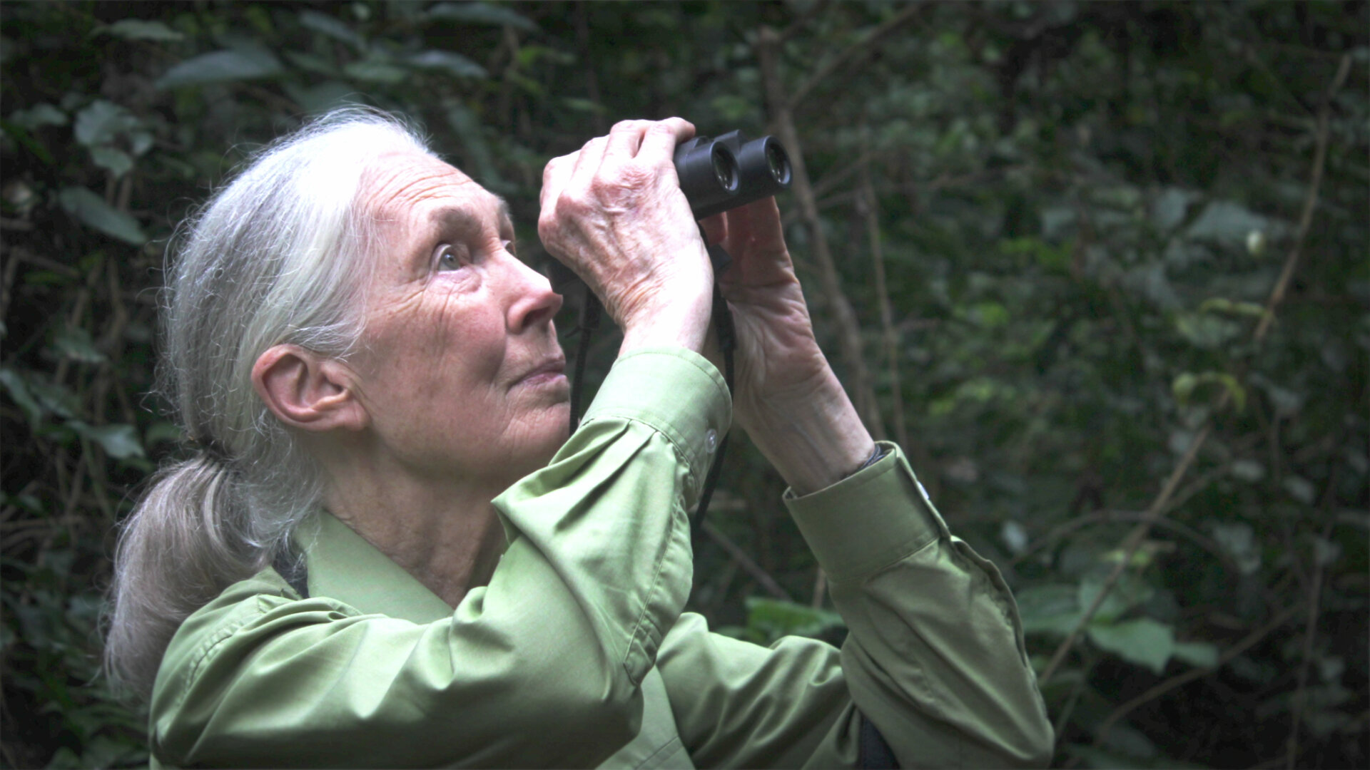 Кадр 4 з Останні слова знаменитостей: Доктор Джейн Ґудолл