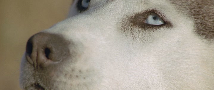 Кадр 2 з Останній мисливець