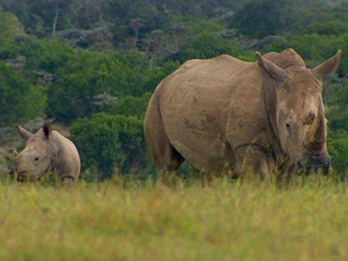 Кадр 1 з Останній шанс побачити / Остання можливість побачити 1 сезон