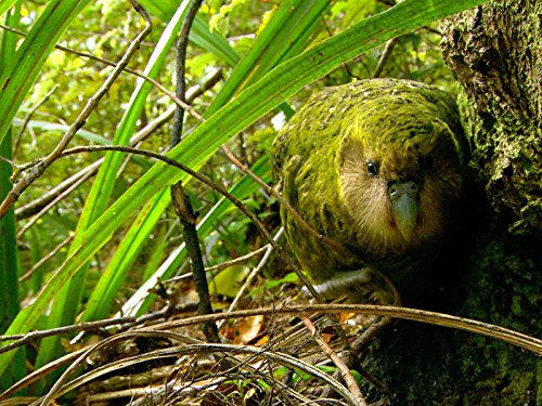 Кадр 2 з Останній шанс побачити / Остання можливість побачити 1 сезон