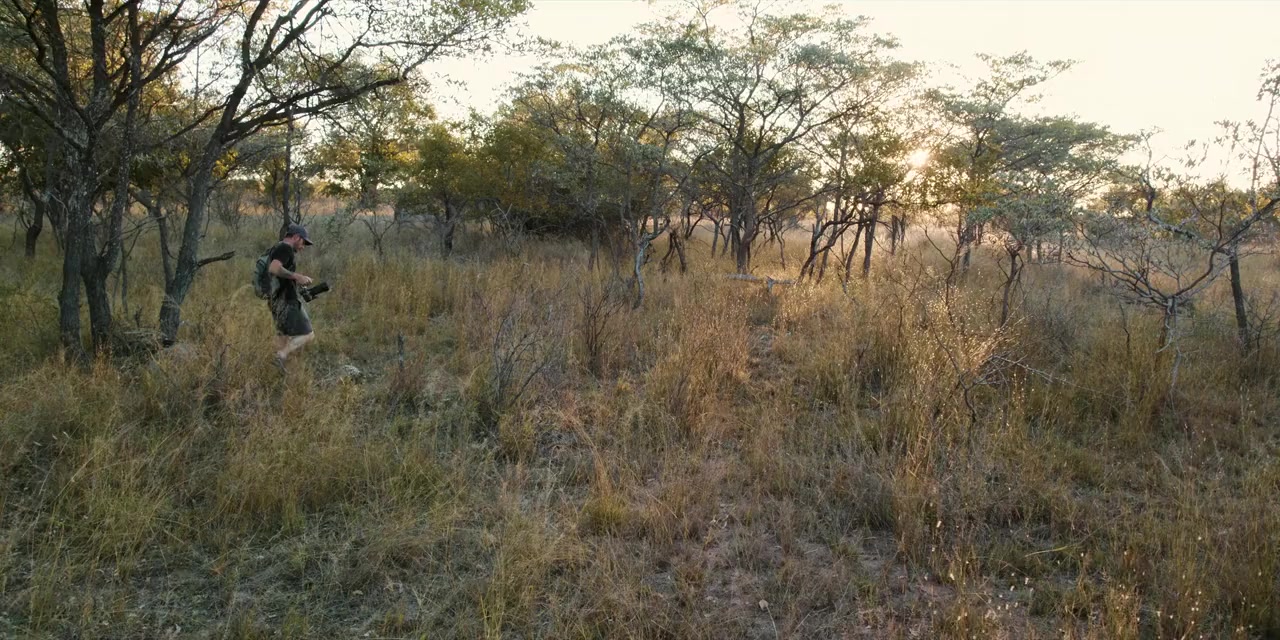 Кадр 1 з Панголін: Подорож Кулу