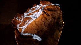 Кадр 2 з Пастка для динозаврів