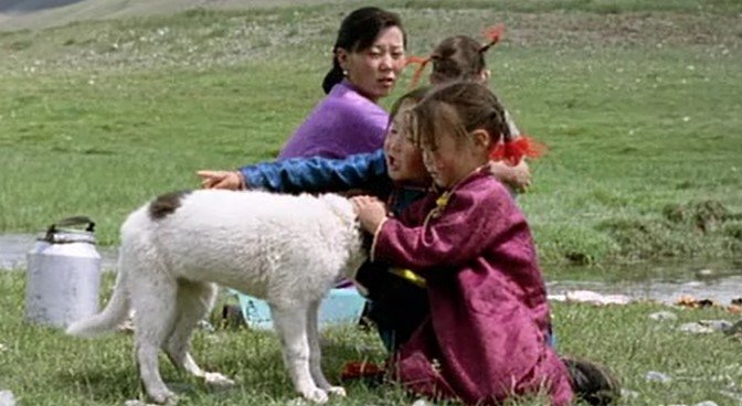 Кадр 3 з Печера жовтого пса