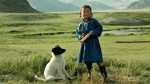 Кадр 4 з Печера жовтого пса