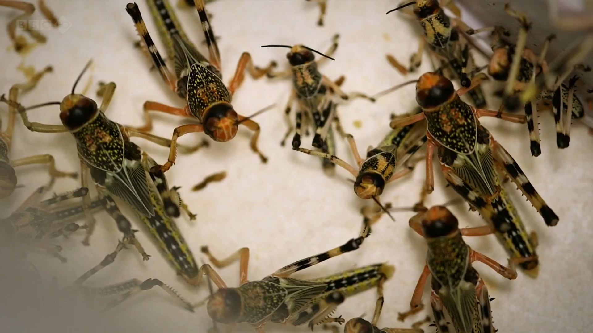 Кадр 3 з Перетворення: наука змін