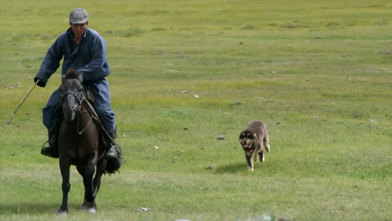 Кадр 3 з Перший друг людини