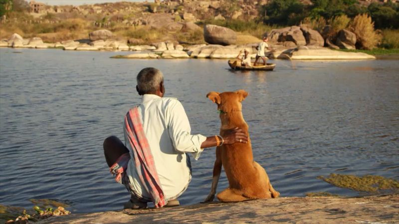 Кадр 4 з Перший друг людини