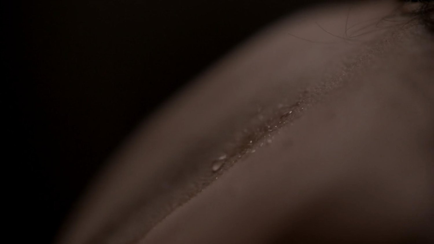 Кадр 4 з Перший та останній 1 сезон