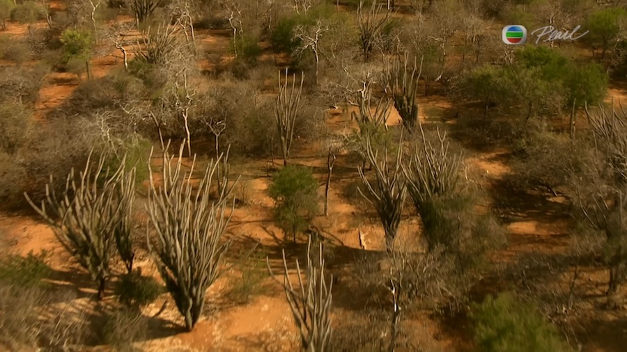 Кадр 2 з Планета мавп 1 сезон