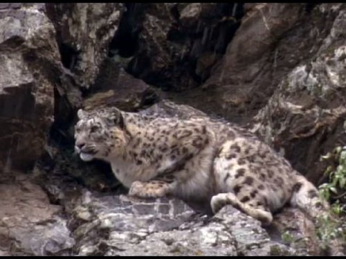 Кадр 3 з Планета Земля 1 сезон