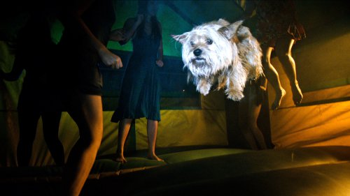 Кадр 1 з Проект X