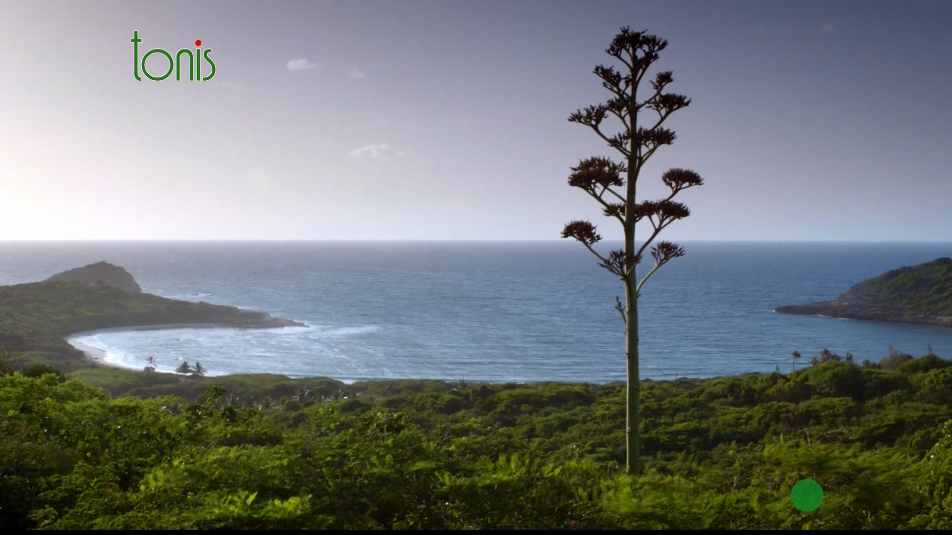 Кадр 1 з Промиcлова революція