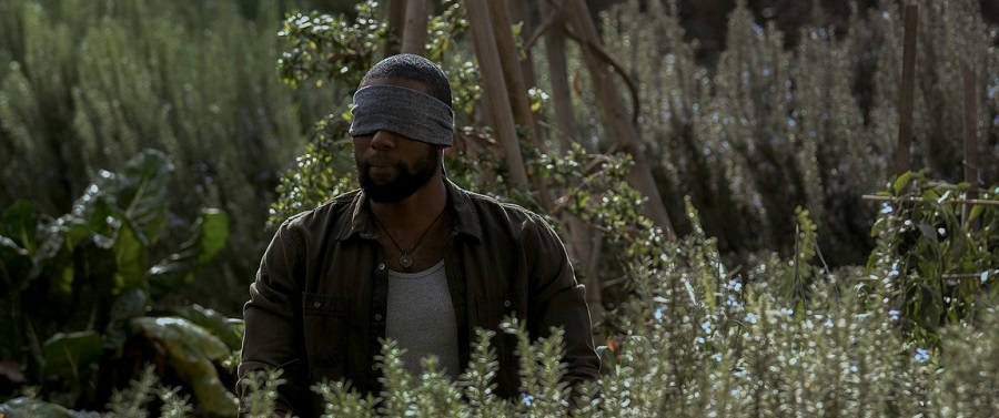 Кадр 1 з Пташиний короб