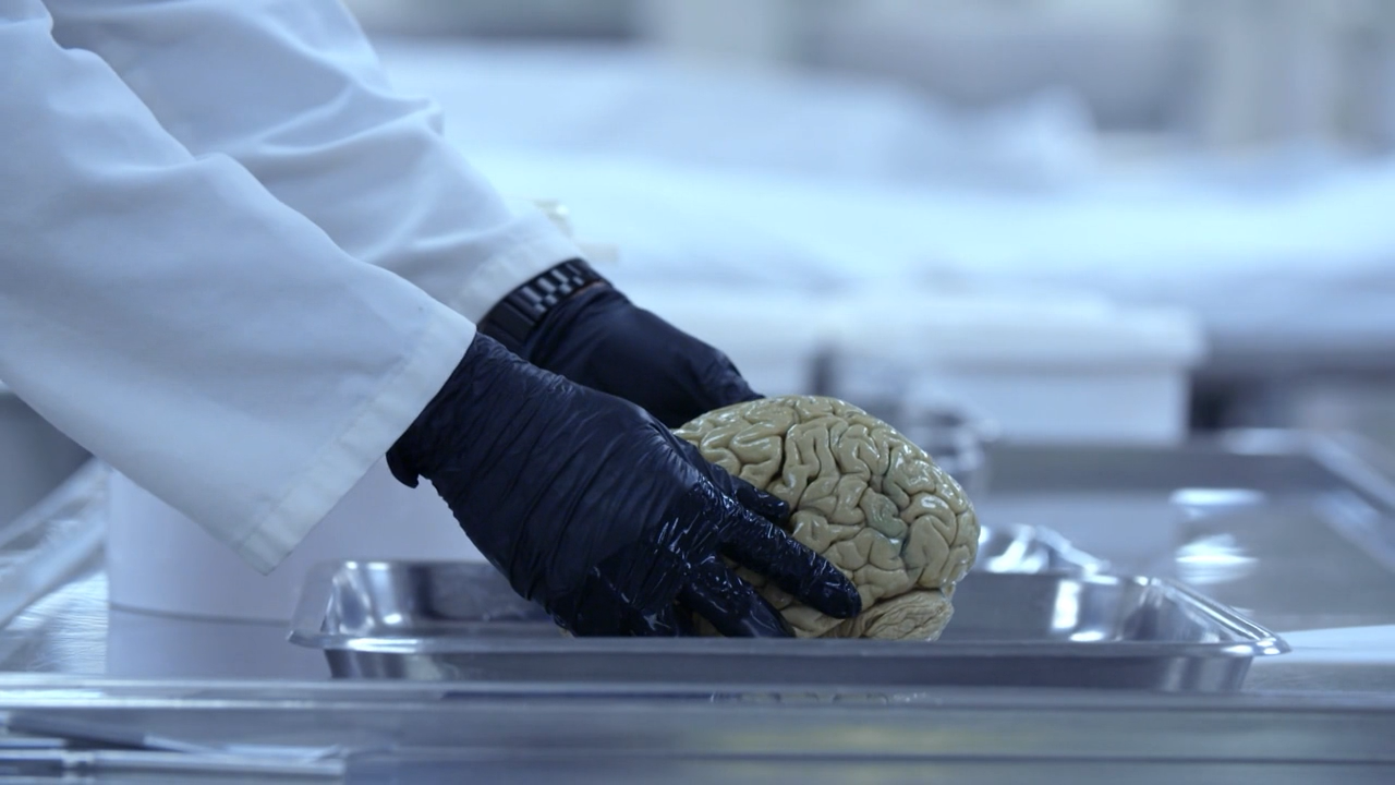 Кадр 2 з Радість штучного інтелекту